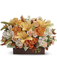 Teleflora's Fall Chic Bouquet from Flowers by Ramon of Lawton, OK